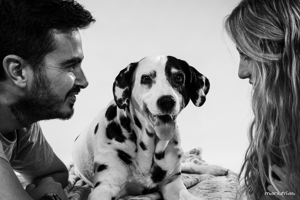 manufrias-fotografo-de-perros-en-sevilla