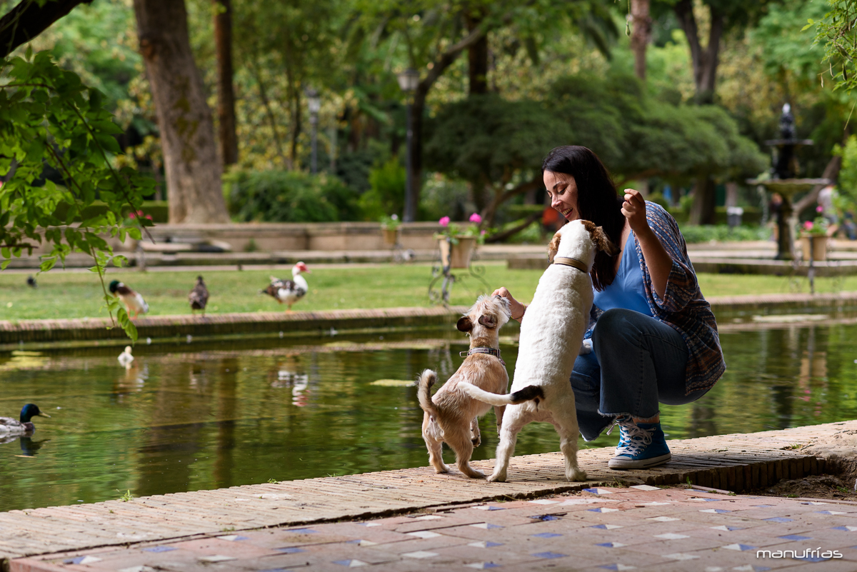 manufrias-fotografo-profesional-perros-sevilla