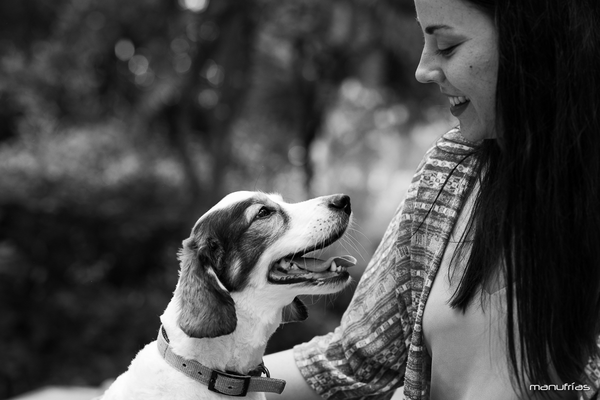manufrias-fotografo-profesional-perros-sevilla