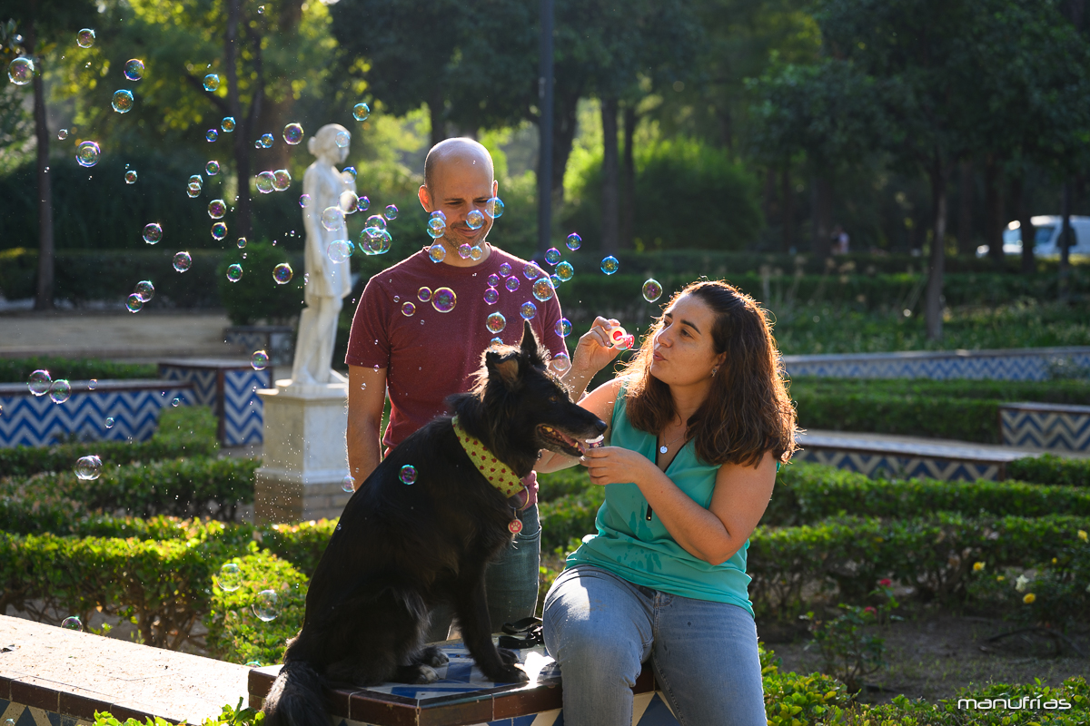 manufrias-fotografo-perros-sevilla