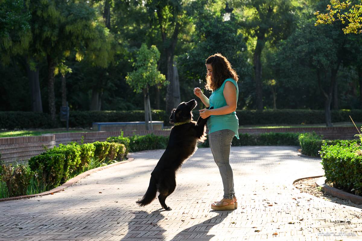 manufrias-fotografo-perros-sevilla