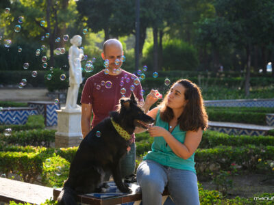 manufrias-fotografo-perros-sevilla