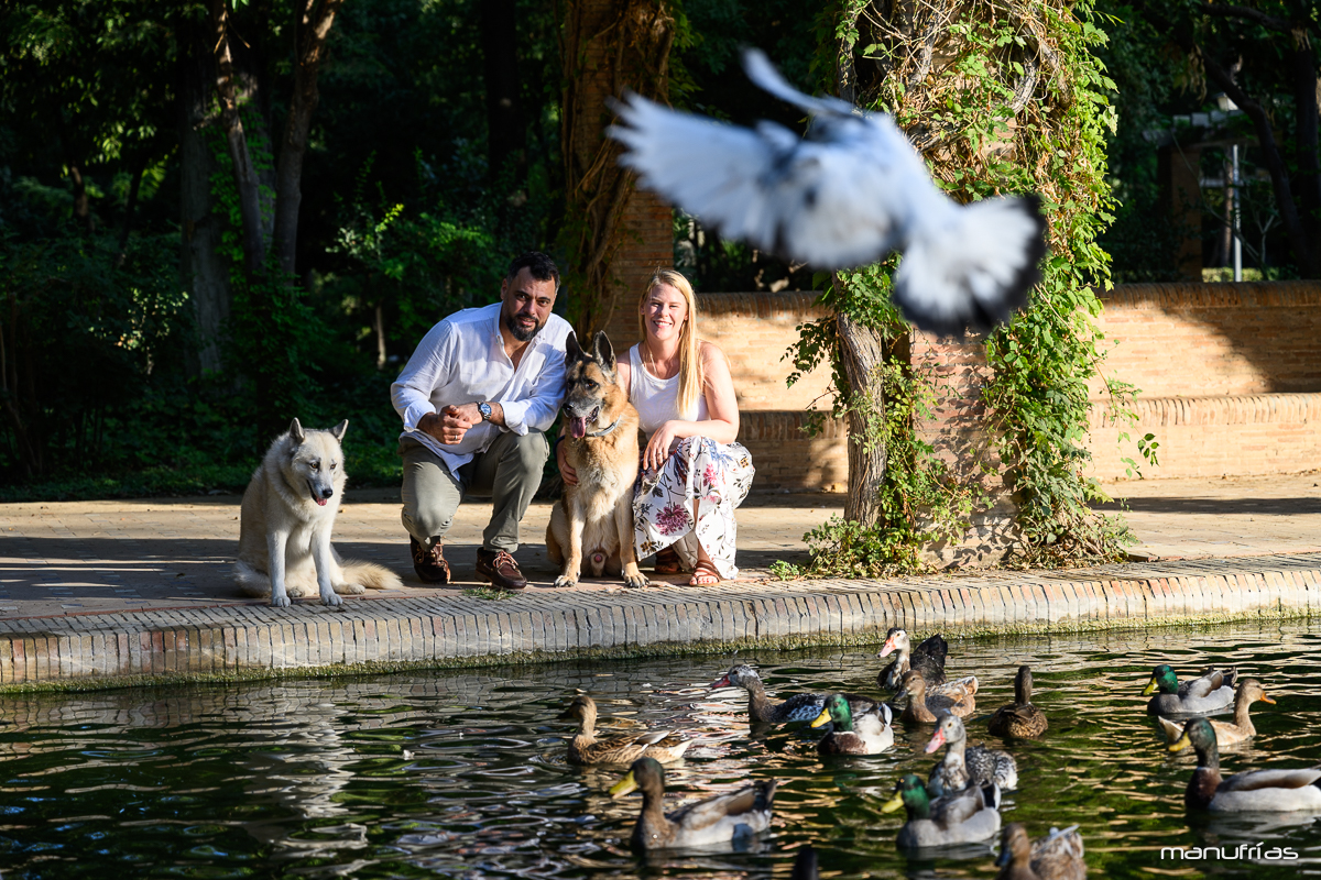 manufrias-fotografo-mascotas-perros-sevilla