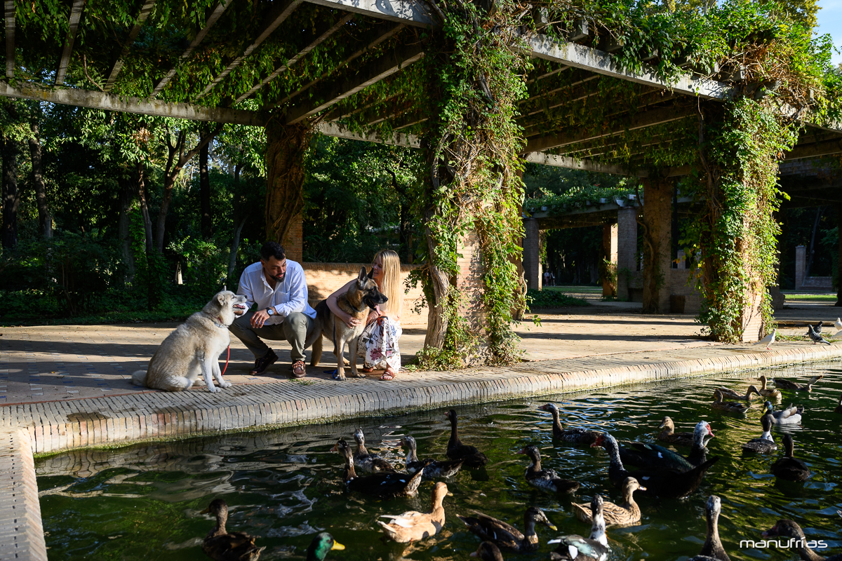 manufrias-fotografo-mascotas-perros-sevilla