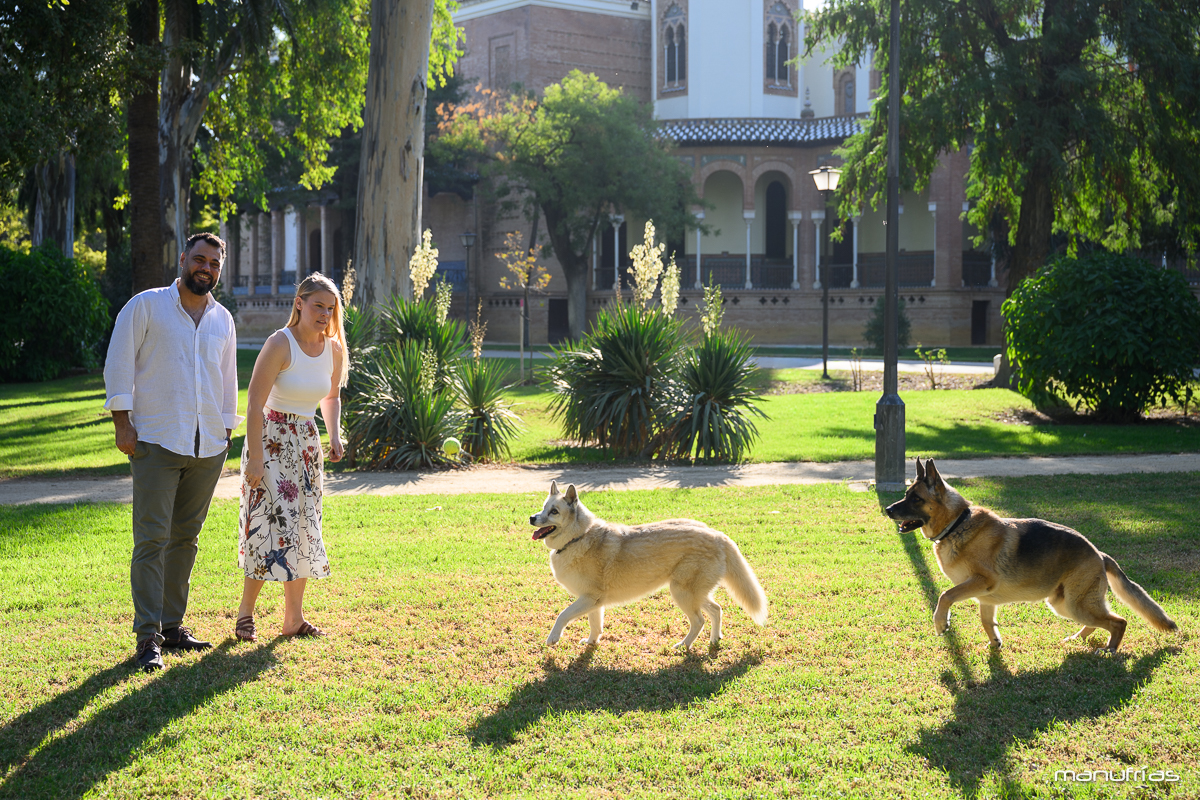 manufrias-fotografo-mascotas-perros-sevilla