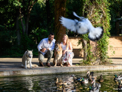 manufrias-fotografo-mascotas-perros-sevilla